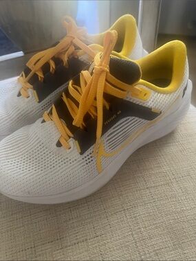 Nike University of Michigan zoom Pegasus (Men’6 or woman’s 7/7.5